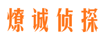 嘉陵市侦探调查公司